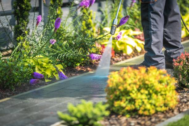 Best Pool Deck Cleaning  in Florham Park, NJ