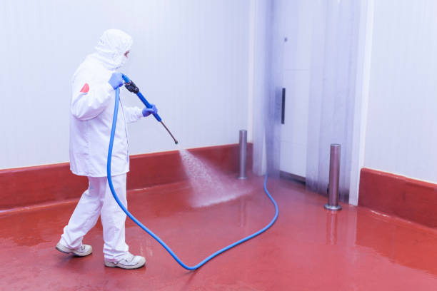 Best Building Exterior Washing  in Florham Park, NJ